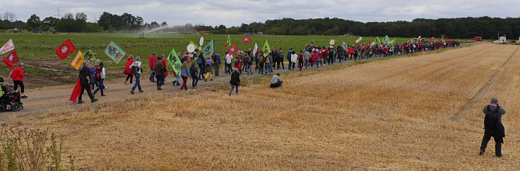 © www.mutbuergerdokus.de: 63. Waldführung im Hambacher Forst: 'Wald statt Kohle'