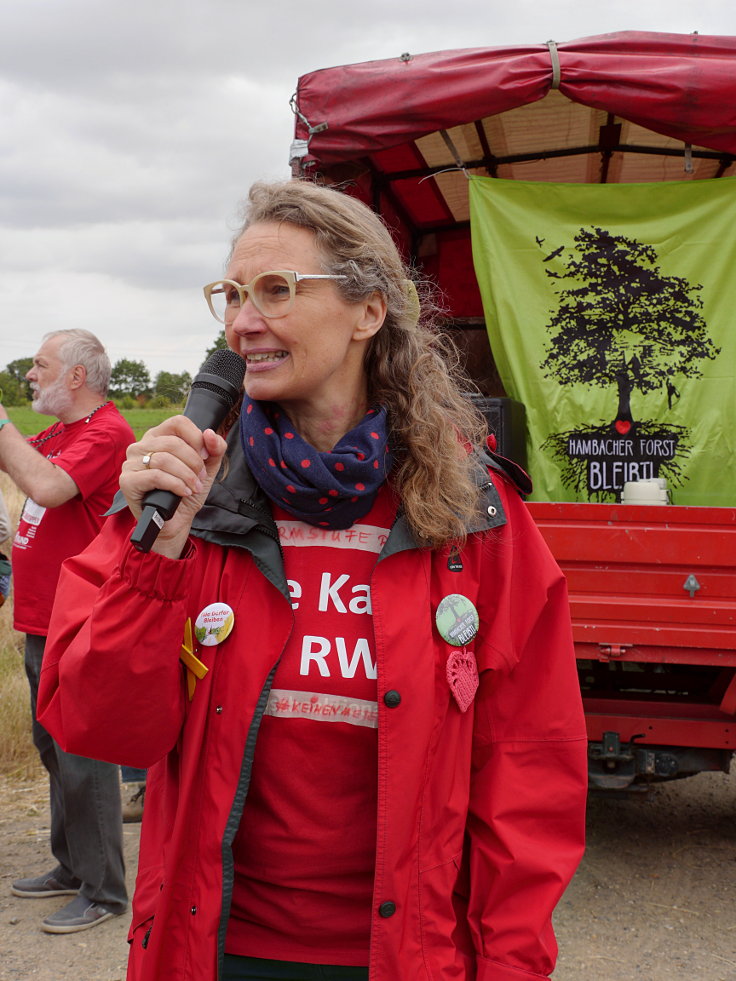 © www.mutbuergerdokus.de: 63. Waldführung im Hambacher Forst: 'Wald statt Kohle'