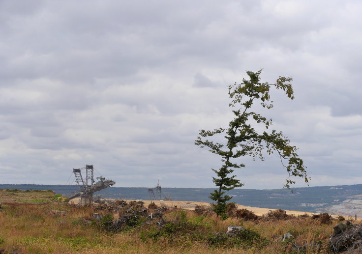 © www.mutbuergerdokus.de: 63. Waldführung im Hambacher Forst: 'Wald statt Kohle'