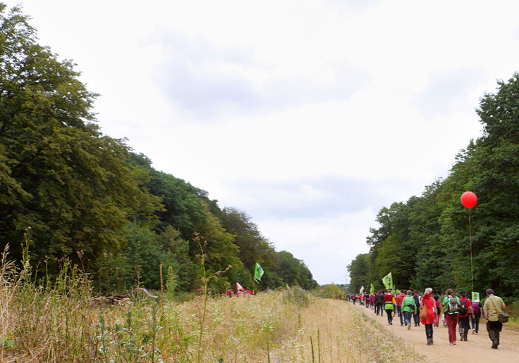 © www.mutbuergerdokus.de: 63. Waldführung im Hambacher Forst: 'Wald statt Kohle'