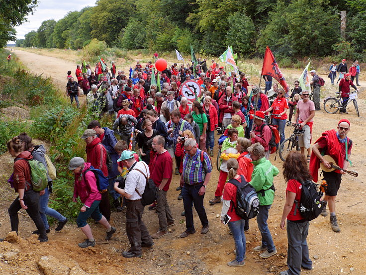 © www.mutbuergerdokus.de: 63. Waldführung im Hambacher Forst: 'Wald statt Kohle'