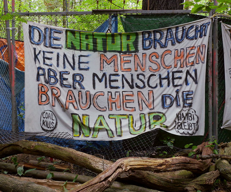 © www.mutbuergerdokus.de: 63. Waldführung im Hambacher Forst: 'Wald statt Kohle'