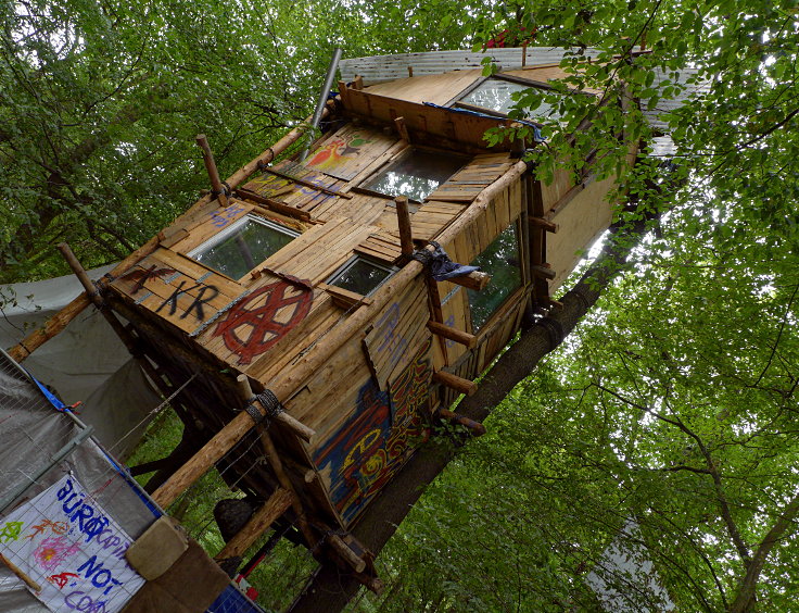 © www.mutbuergerdokus.de: 63. Waldführung im Hambacher Forst: 'Wald statt Kohle'