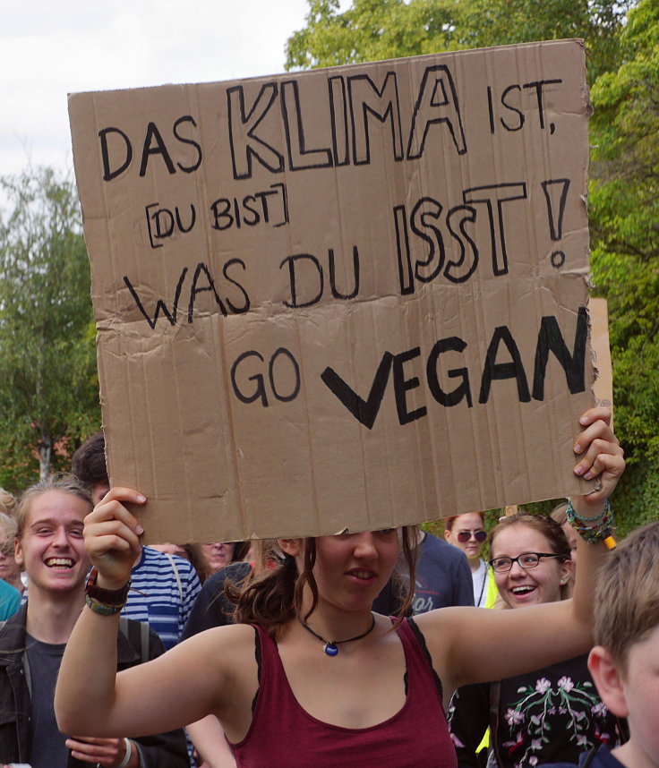 © www.mutbuergerdokus.de: 2. 'Fridays for Future'-Klimastreik Willich