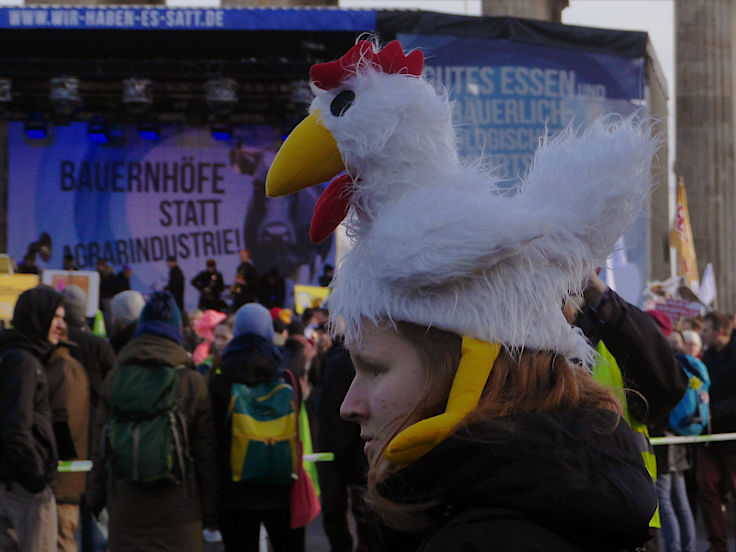 © www.mutbuergerdokus.de: 10. 'Wir haben es satt!'-Demonstration