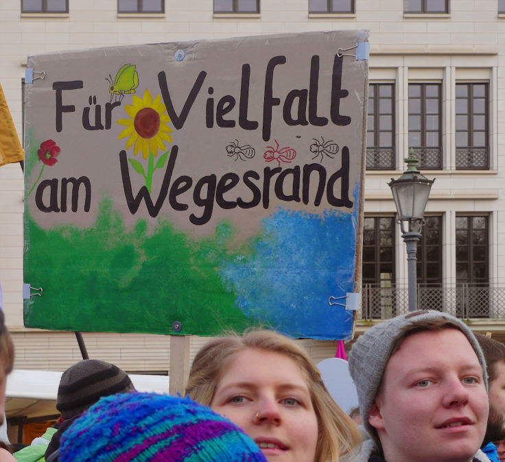 © www.mutbuergerdokus.de: 10. 'Wir haben es satt!'-Demonstration