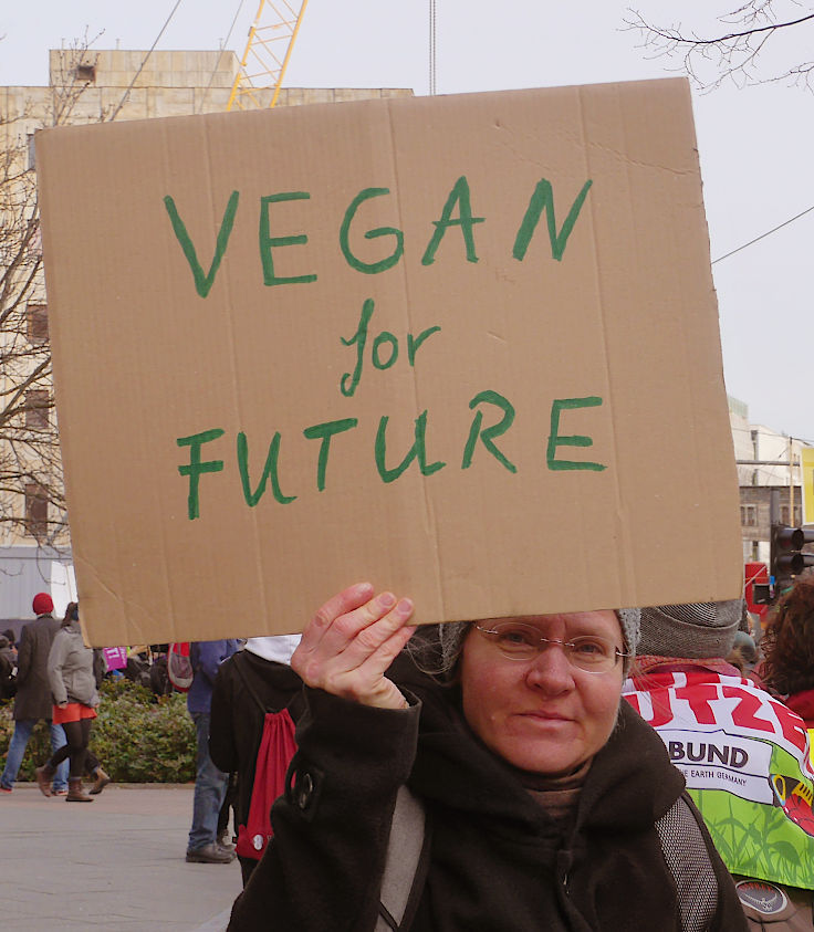 © www.mutbuergerdokus.de: 10. 'Wir haben es satt!'-Demonstration