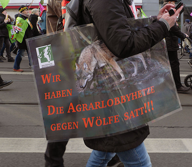 © www.mutbuergerdokus.de: 10. 'Wir haben es satt!'-Demonstration