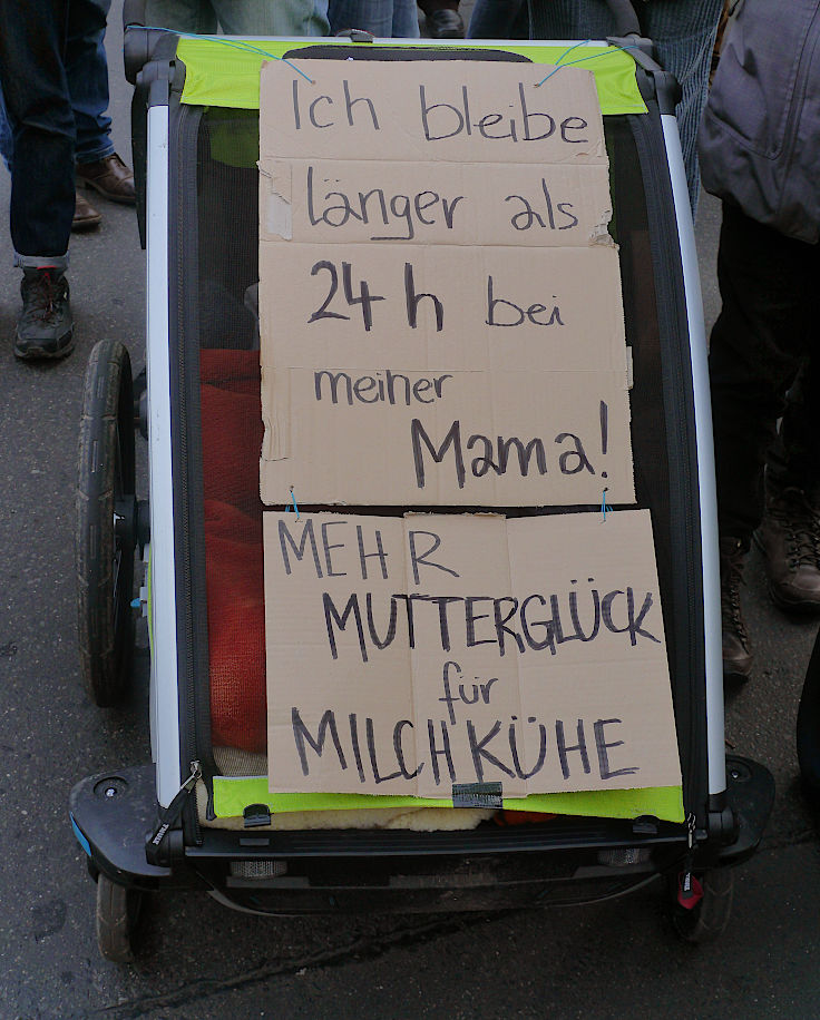 © www.mutbuergerdokus.de: 10. 'Wir haben es satt!'-Demonstration