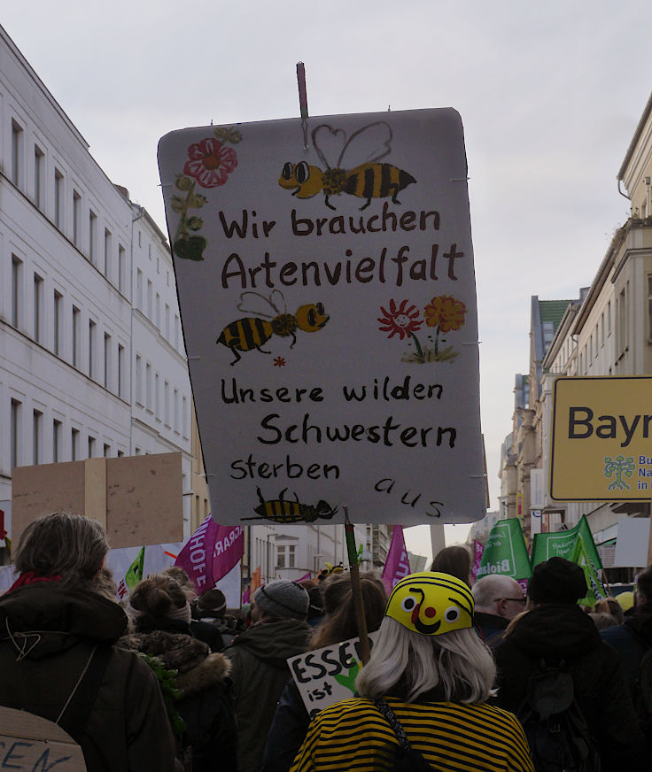 © www.mutbuergerdokus.de: 10. 'Wir haben es satt!'-Demonstration