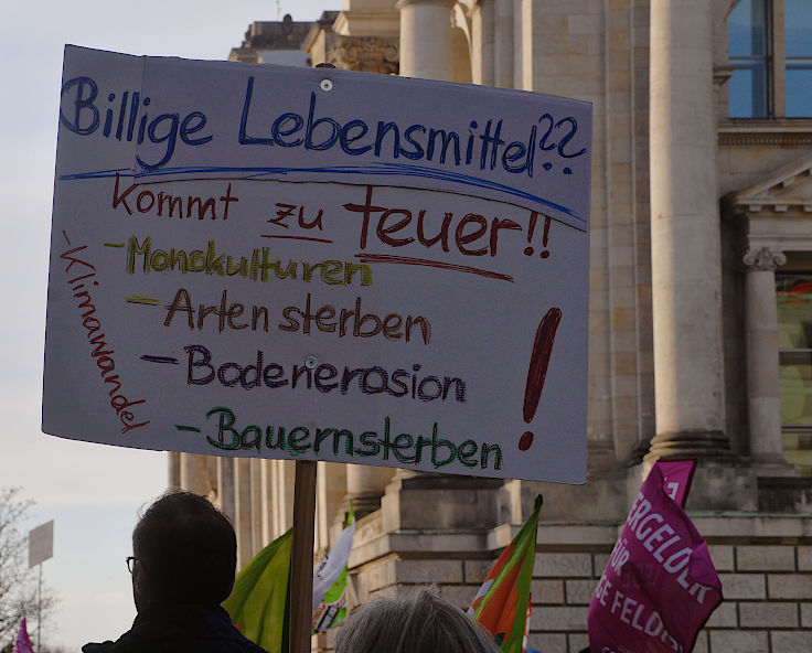 © www.mutbuergerdokus.de: 10. 'Wir haben es satt!'-Demonstration