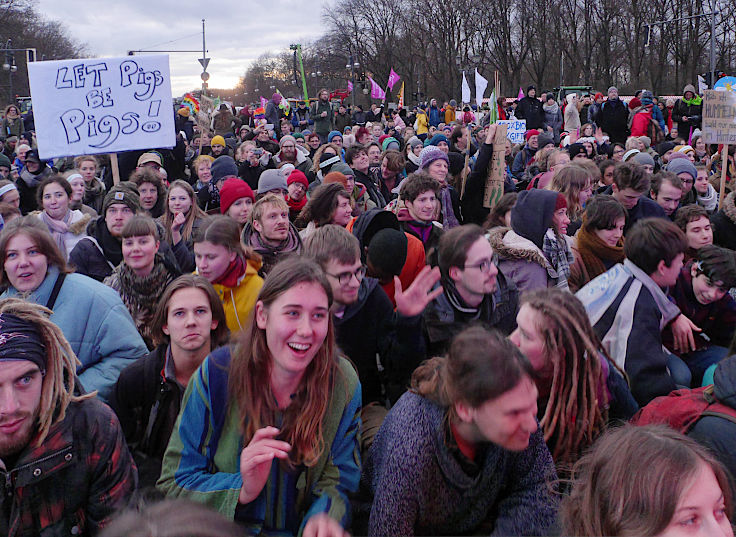 © www.mutbuergerdokus.de: 10. 'Wir haben es satt!'-Demonstration
