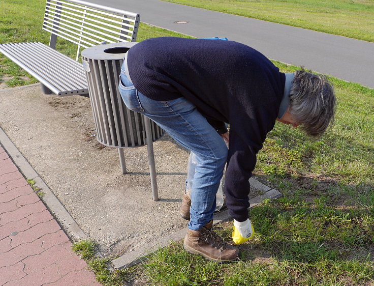 © www.mutbuergerdokus.de: 'Rhine Cleanup Day'