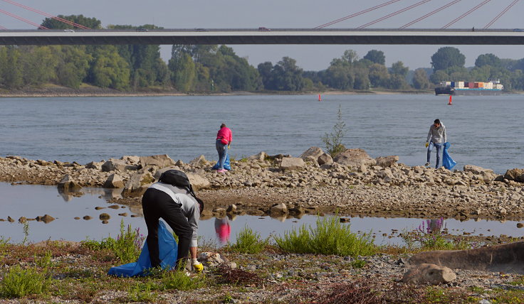 © www.mutbuergerdokus.de: 'Rhine Cleanup Day'