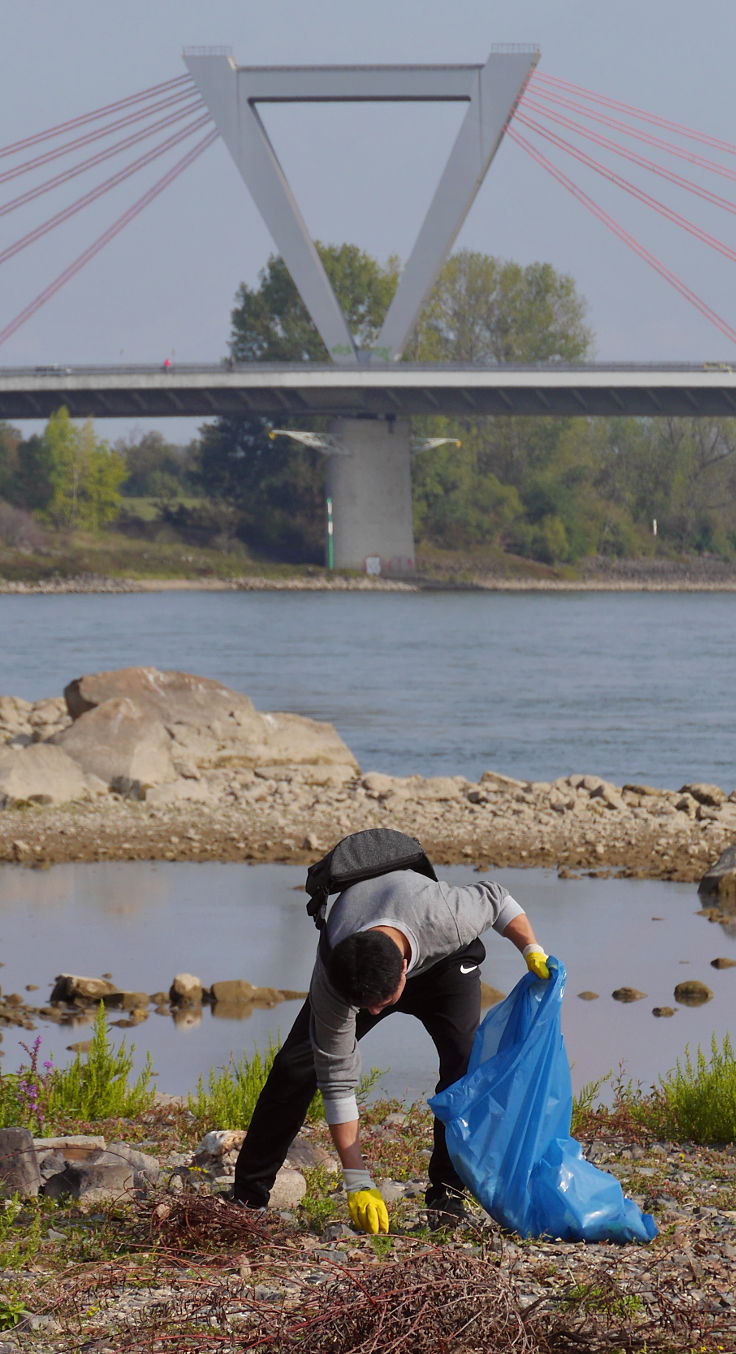 © www.mutbuergerdokus.de: 'Rhine Cleanup Day'