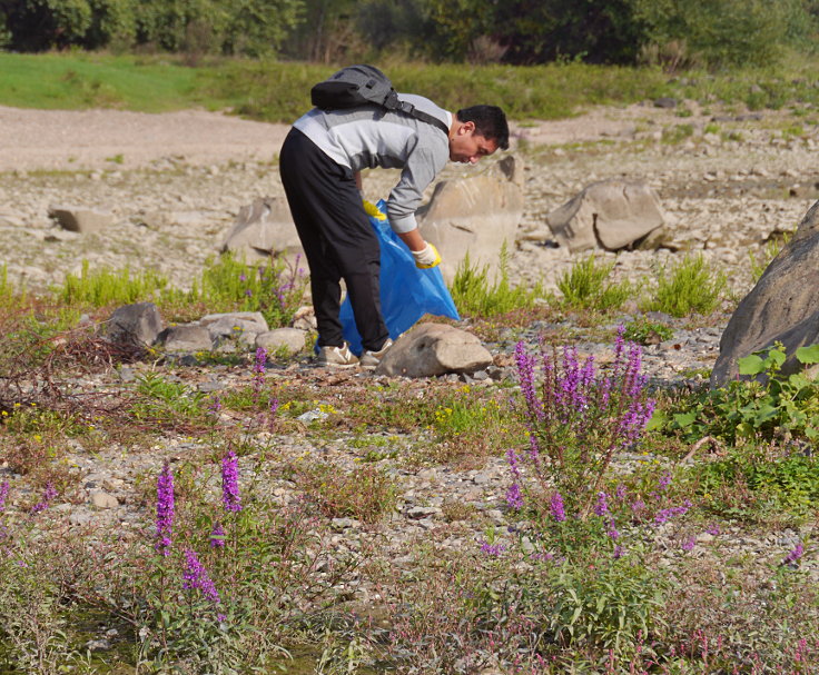 © www.mutbuergerdokus.de: 'Rhine Cleanup Day'