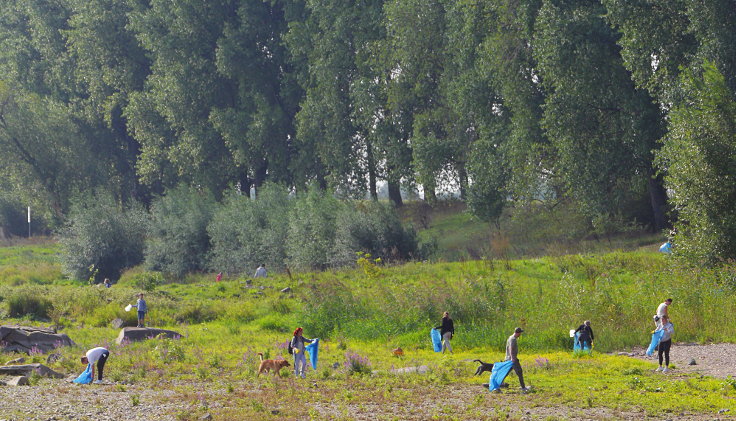 © www.mutbuergerdokus.de: 'Rhine Cleanup Day'