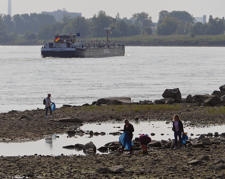 © www.mutbuergerdokus.de: 'Rhine Cleanup Day'