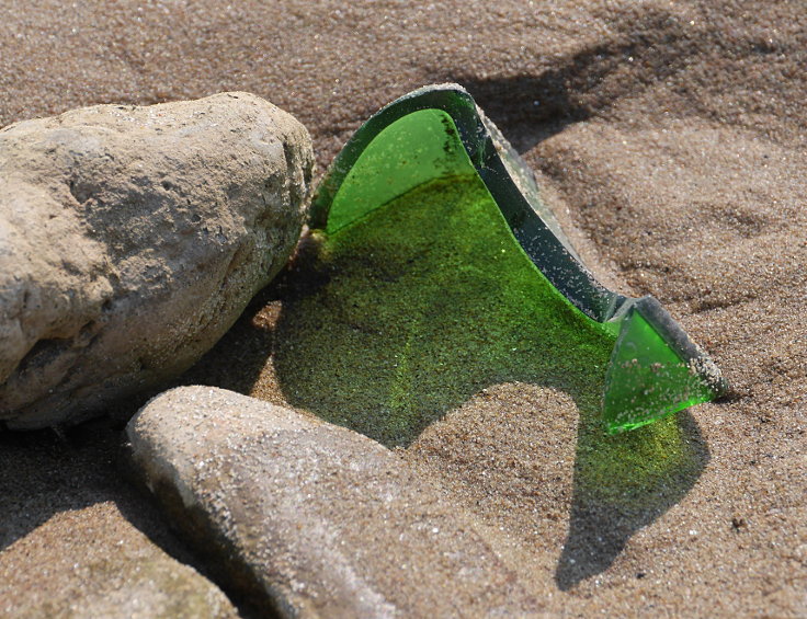 © www.mutbuergerdokus.de: 'Rhine Cleanup Day'