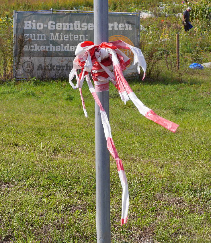 © www.mutbuergerdokus.de: 'Rhine Cleanup Day'