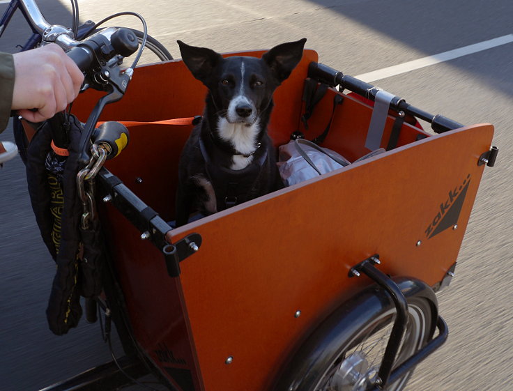 © www.mutbuergerdokus.de: 'Fahrrad-Klima-Demonstration' in Meerbusch