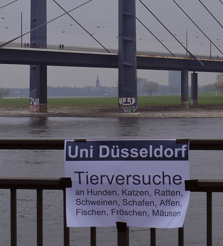 © www.mutbuergerdokus.de: Ärzte gegen Tierversuche Düsseldorf: 'Silent Line - Stiller Protest gegen Tierversuche'