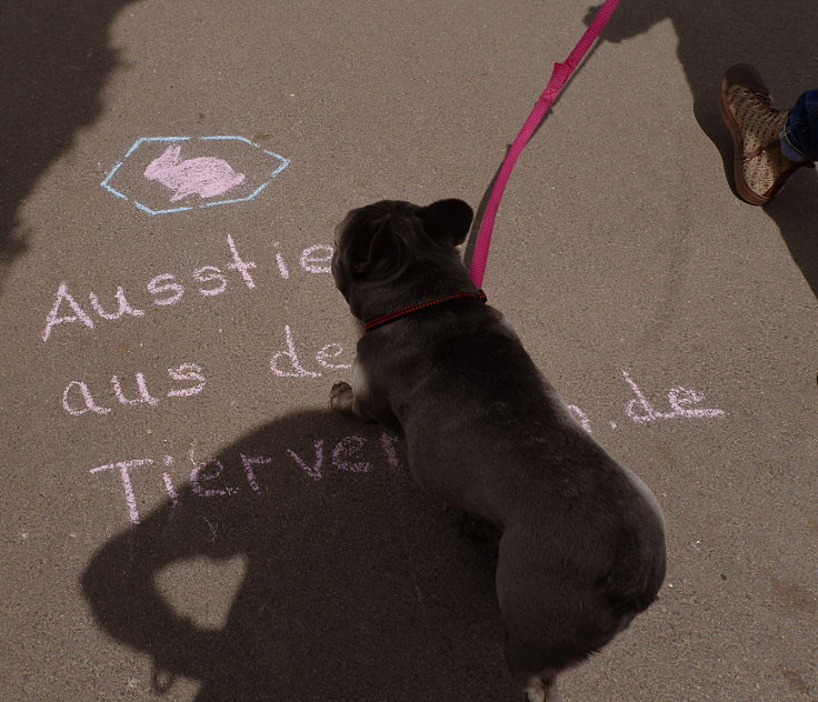 © www.mutbuergerdokus.de: Ärzte gegen Tierversuche Düsseldorf: 'Silent Line - Stiller Protest gegen Tierversuche'