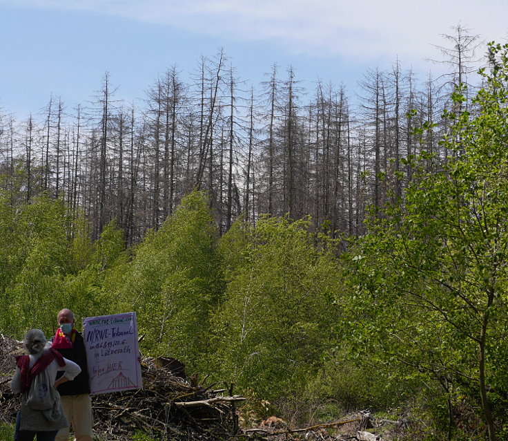 © www.mutbuergerdokus.de: '7 Jahre Waldspaziergänge - Rote Linie am Hambacher Wald'