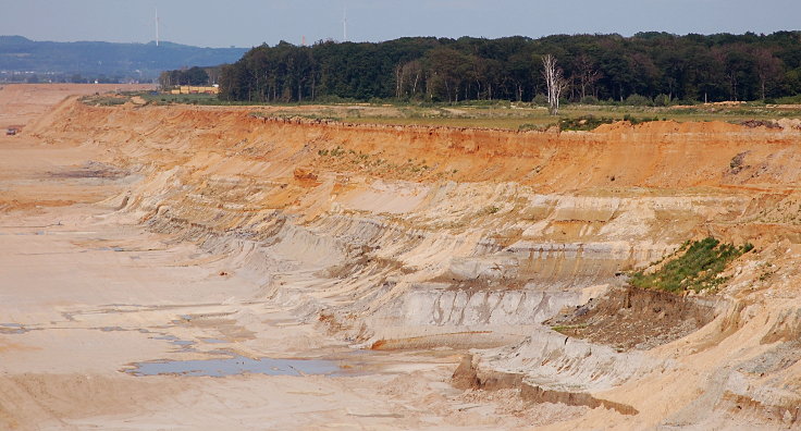 © www.mutbuergerdokus.de: '7 Jahre Waldspaziergänge - Rote Linie am Hambacher Wald'