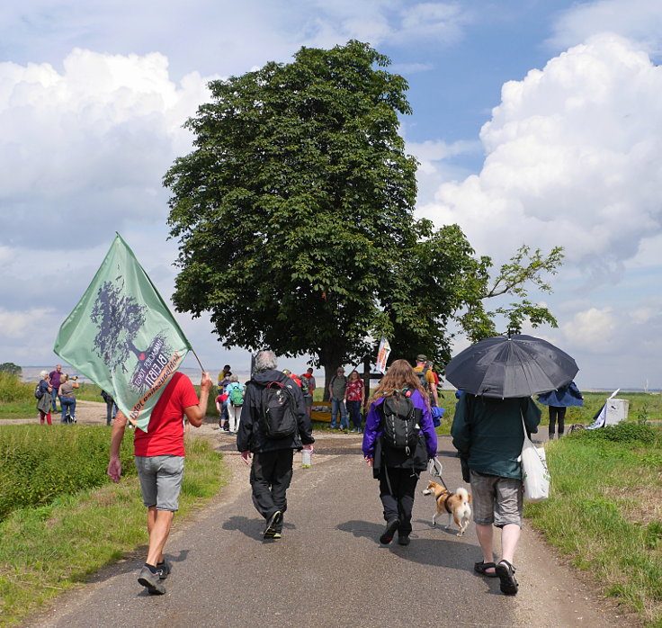 © www.mutbuergerdokus.de: 'Wald statt Kohle' - 87. Sonntagsspaziergang im Hambacher Wald