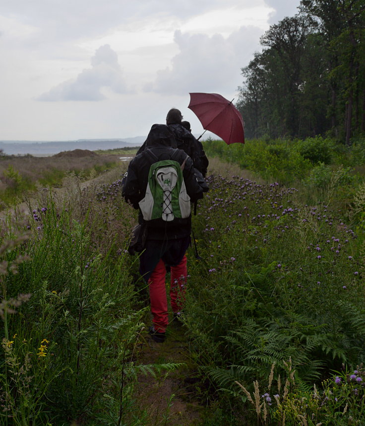 © www.mutbuergerdokus.de: 'Wald statt Kohle' - 87. Sonntagsspaziergang im Hambacher Wald