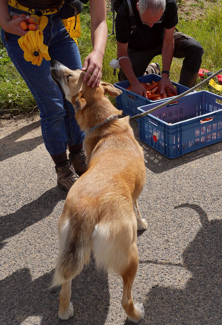 © www.mutbuergerdokus.de: 88. Wald- und Dorfspaziergang