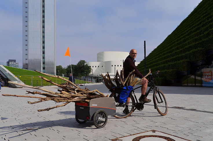 © www.mutbuergerdokus.de: Baumschutzgruppe Düsseldorf: 'Buche wird zum Natur-Kunst-Werk'