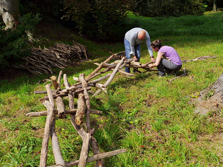 © www.mutbuergerdokus.de: Baumschutzgruppe Düsseldorf: 'Buche wird zum Natur-Kunst-Werk'