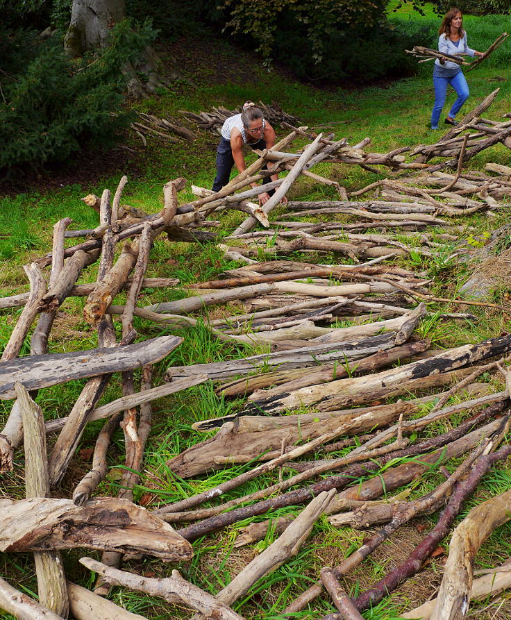 © www.mutbuergerdokus.de: Baumschutzgruppe Düsseldorf: 'Buche wird zum Natur-Kunst-Werk'