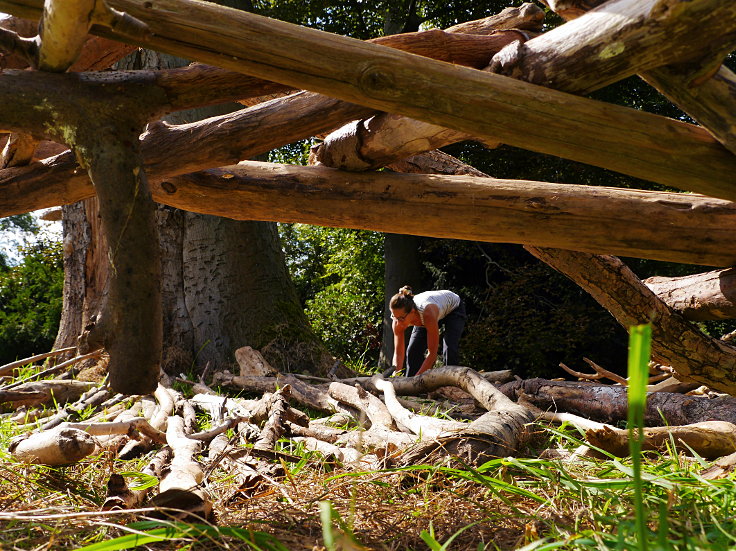 © www.mutbuergerdokus.de: Baumschutzgruppe Düsseldorf: 'Buche wird zum Natur-Kunst-Werk'