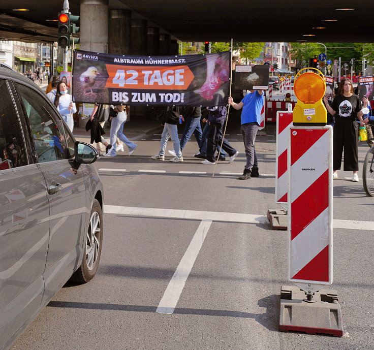 © www.mutbuergerdokus.de: ARiWa Düsseldorf-Neuss: Ampelaktion 'Albtraum Hühnermast. 42 Tage bis zum Tod!'