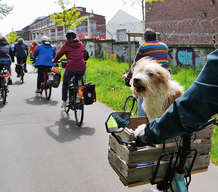 © www.mutbuergerdokus.de: 8. 'ADFC Fahrrad*Sternfahrt NRW'
