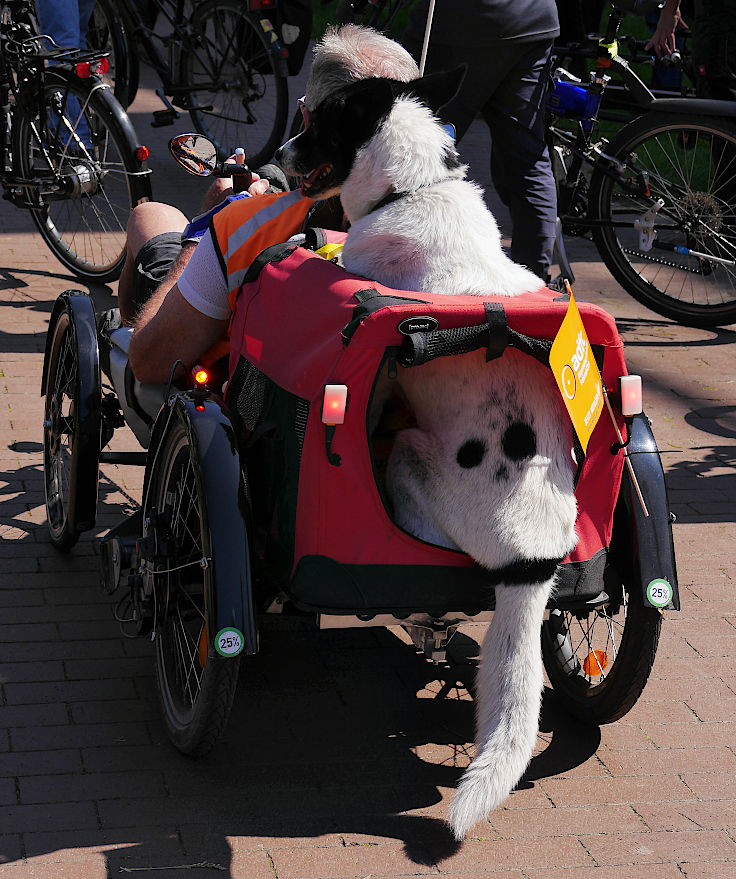 © www.mutbuergerdokus.de: 8. 'ADFC Fahrrad*Sternfahrt NRW'