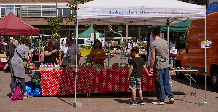 © www.mutbuergerdokus.de: 6. 'Saatgut-Festival Düsseldorf'