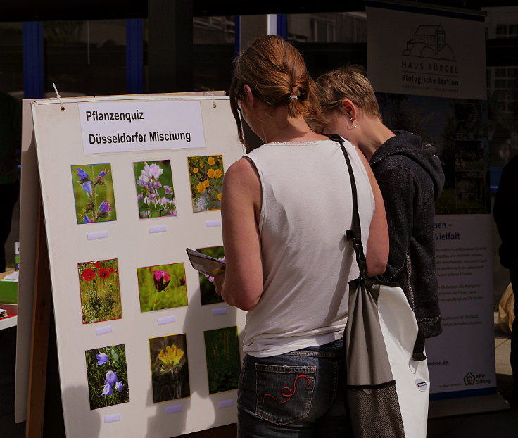 © www.mutbuergerdokus.de: 6. 'Saatgut-Festival Düsseldorf'