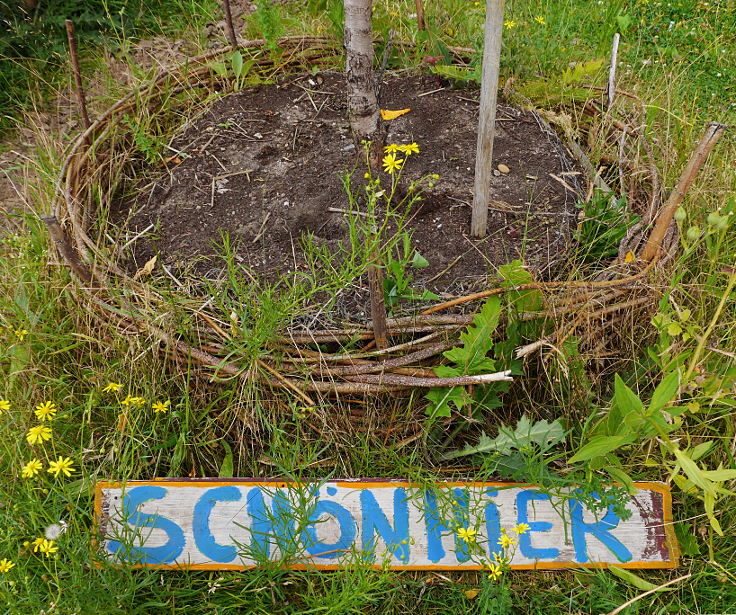 © www.mutbuergerdokus.de: Sommerfest bei 'düsselgrün'