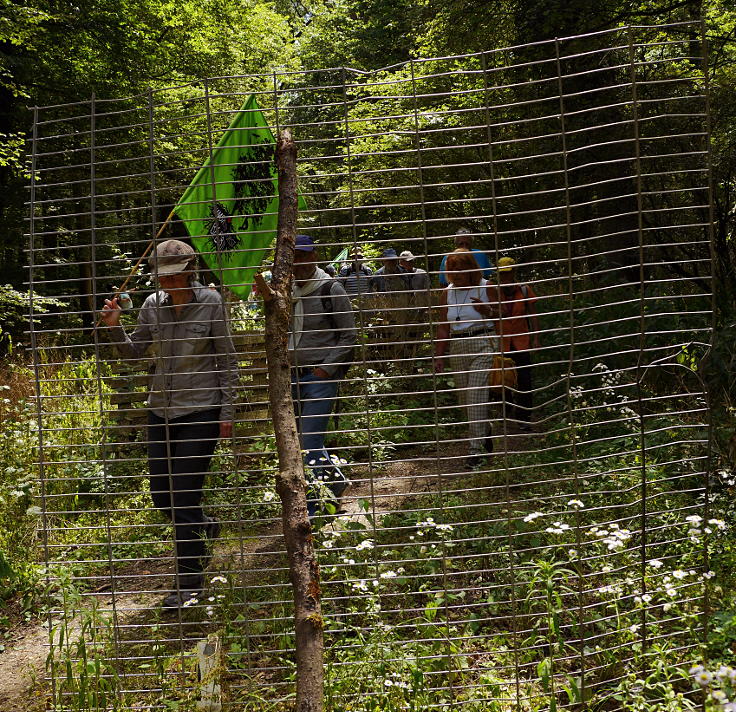 © www.mutbuergerdokus.de: 99 Monate Sonntagsspaziergänge 'Wald statt Kohle'