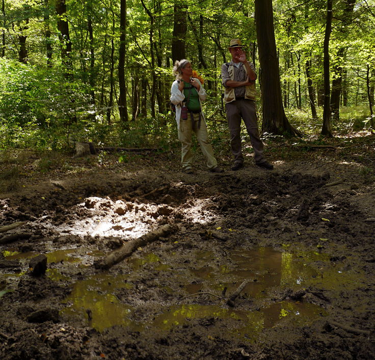 © www.mutbuergerdokus.de: 99 Monate Sonntagsspaziergänge 'Wald statt Kohle'