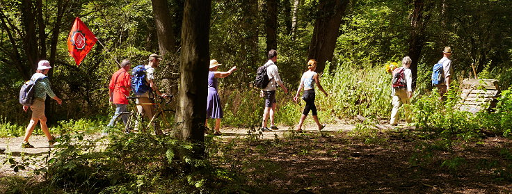 © www.mutbuergerdokus.de: 99 Monate Sonntagsspaziergänge 'Wald statt Kohle'