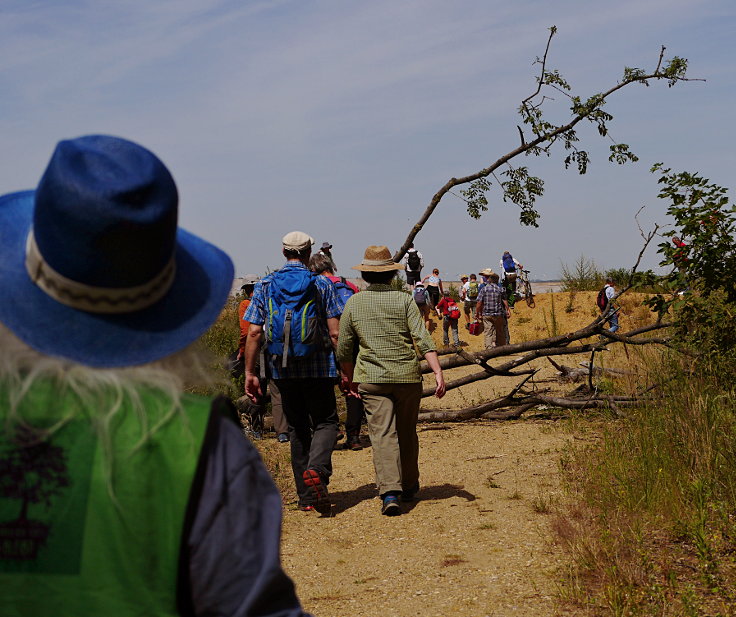 © www.mutbuergerdokus.de: 99 Monate Sonntagsspaziergänge 'Wald statt Kohle'