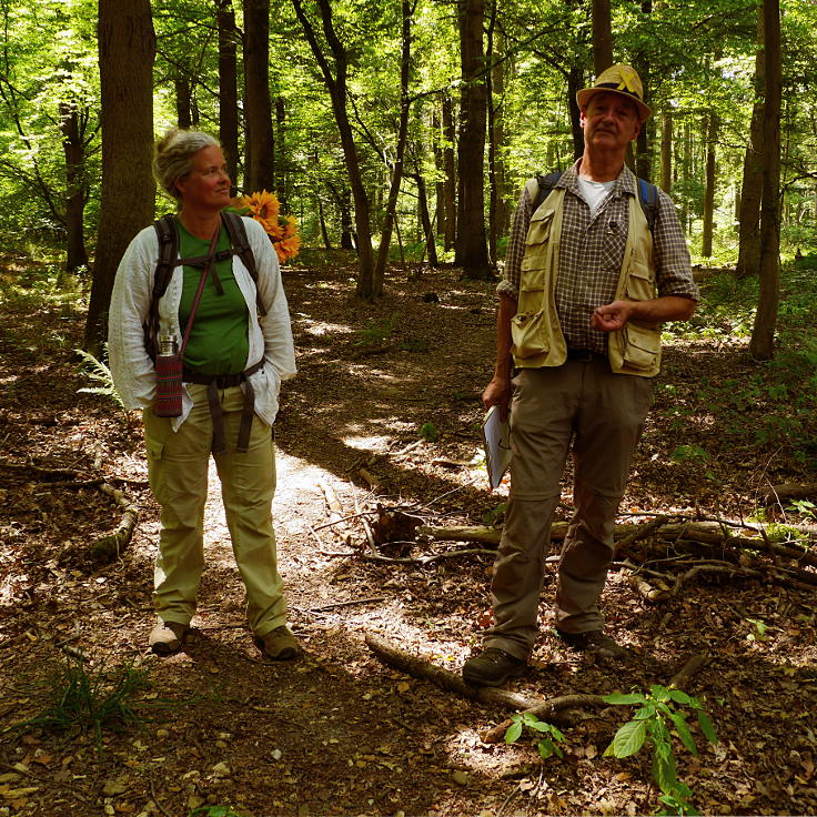 © www.mutbuergerdokus.de: 99 Monate Sonntagsspaziergänge 'Wald statt Kohle'