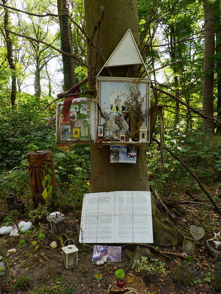 © www.mutbuergerdokus.de: 99 Monate Sonntagsspaziergänge 'Wald statt Kohle'