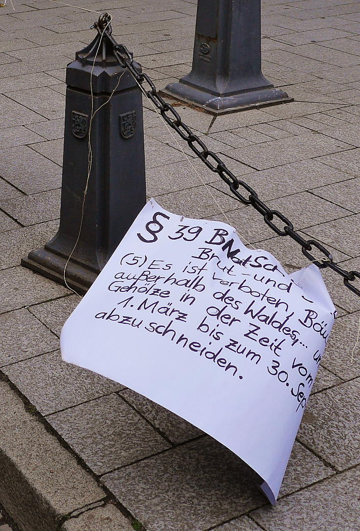 © www.mutbuergerdokus.de: 'Park(ing) Day Düsseldorf'