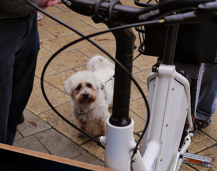 © www.mutbuergerdokus.de: Eröffnung der 3. MobilitätStation in Düsseldorf